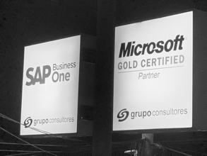 SAP Partner